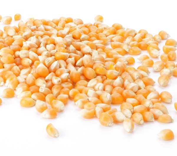 Popping Corn – Australian & Organic