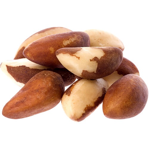 Brazil Nuts – Certified Organic