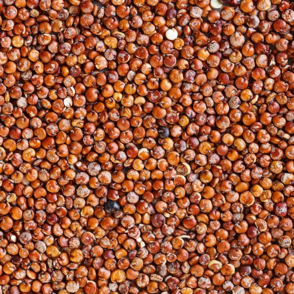 Red Quinoa – Organic – Bolivia
